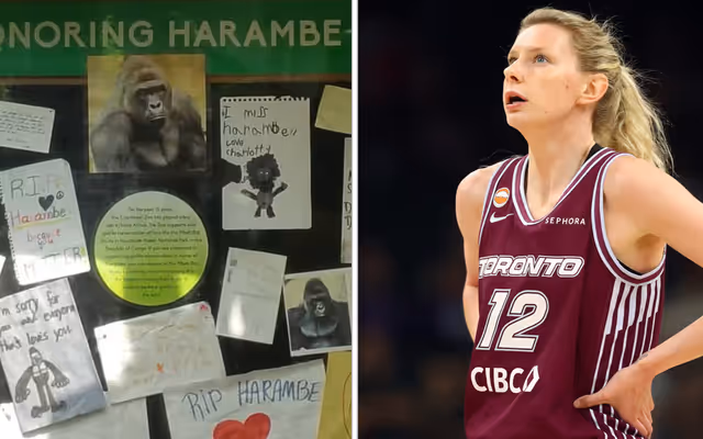 Waived Toronto Tempo player has an incredible connection to Harambe