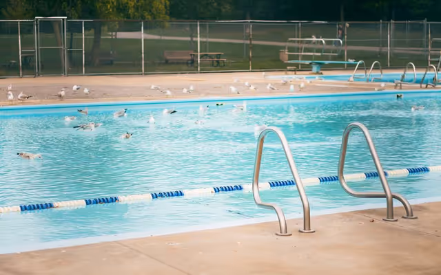 Here's when Toronto pools will open for the 2026 season