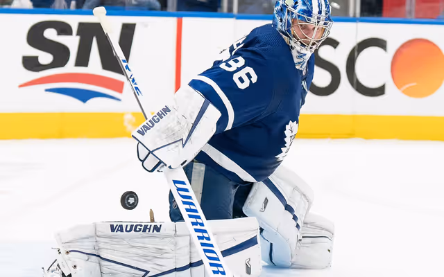 Former Toronto Maple Leafs goalie starts new career as a life coach