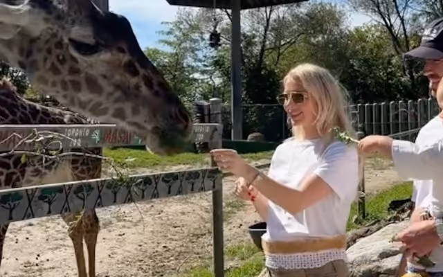 Blue Jays pitcher had the best day ever with his family at Toronto Zoo