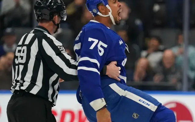 Ryan Reaves offers ringing endorsement of Toronto Maple Leafs organization
