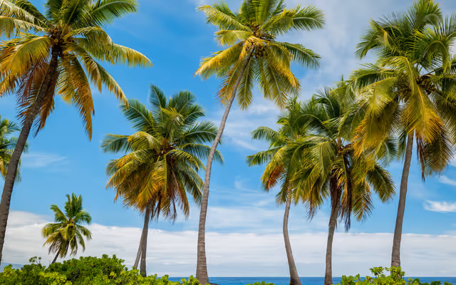 Canada issues urgent advisory for travellers headed to Hawaii