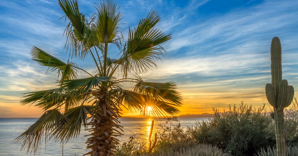 Canada issues urgent new warning for travellers headed to Mexico