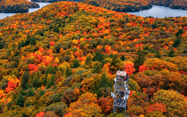 5 fire tower lookout points in Ontario that offer epic fall colour views