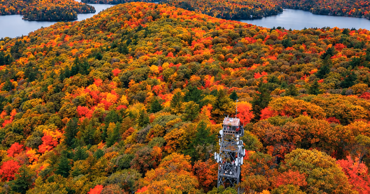5 fire tower lookout points in Ontario that offer epic fall colour views