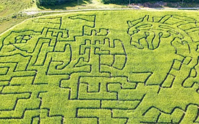 This massive 10-acre Ontario corn maze is hiding a secret inside