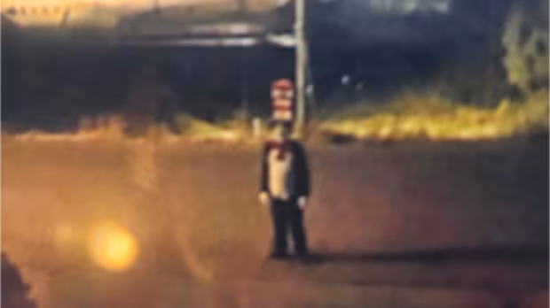 Police investigating after person in Cat in the Hat costume chases teen in West Kelowna, B.C.