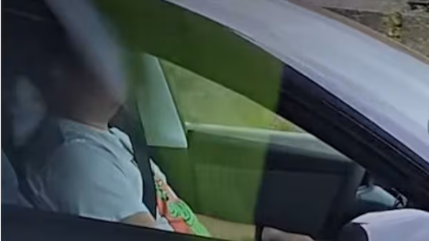 Sleeping Trans-Canada Tesla drivers caught on video in B.C., fined $368