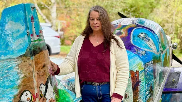 Niagara artist paints 'love letter to Canada' on retired classic airplane in her Wainfleet, Ont., yard