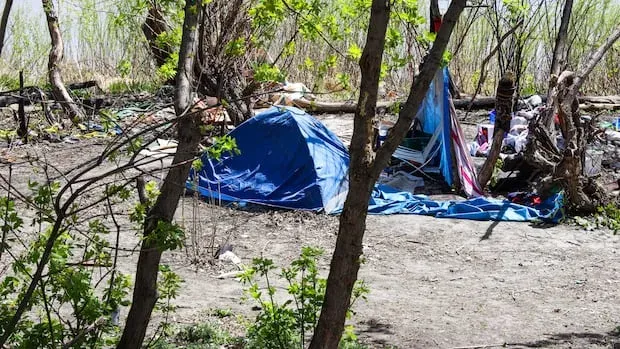 Chronic homelessness in Winnipeg greatly overestimated due to faulty data, memo says
