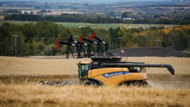 Judge dismisses farmers' class action over end to Canadian Wheat Board monopoly more than a decade ago