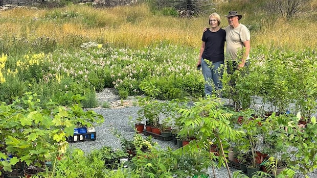 N.L. couple donates hundreds of trees to Conception Bay North one year after wildfires