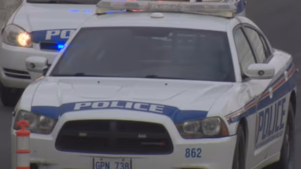 N.L. police say 19 victims identified in AI child sexual abuse image investigation