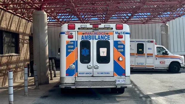N.L. spent $32.1 million in 2.5 years on private virtual health-care services
