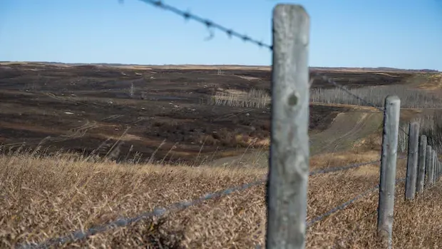 'The country is behind you,’ says N.L. veteran in wake of tragedy at CFB Wainwright