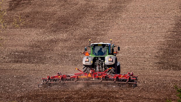 Maritime farmers hit by major drought last summer say they're on the road to recovery