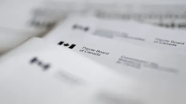Toronto 18 ringleader no longer shows signs of extremism, granted full parole: board