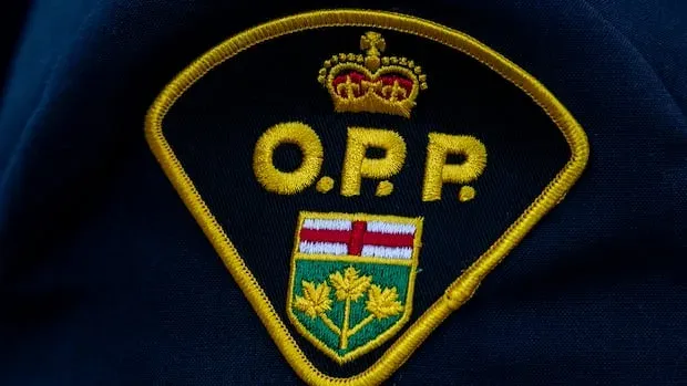 3 Black Ontario police recruits allege discrimination, leading to calls for investigation