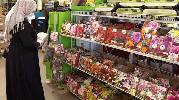 Invasive plants are available across Canada. Is federal regulation possible?