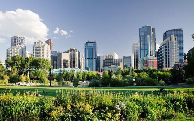 Alberta selects 380 workers for provincial immigration