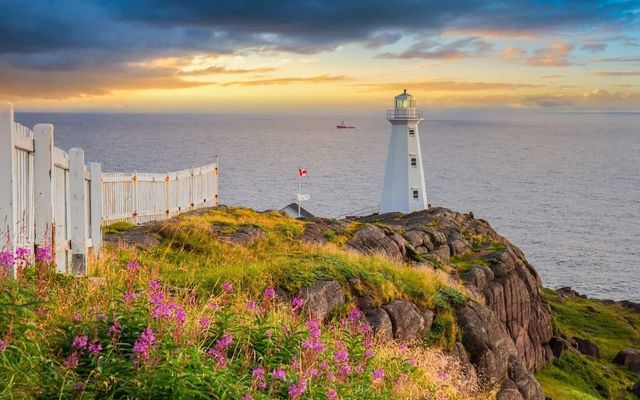 Newfoundland and Labrador invites 62 workers to pursue provincial immigration
