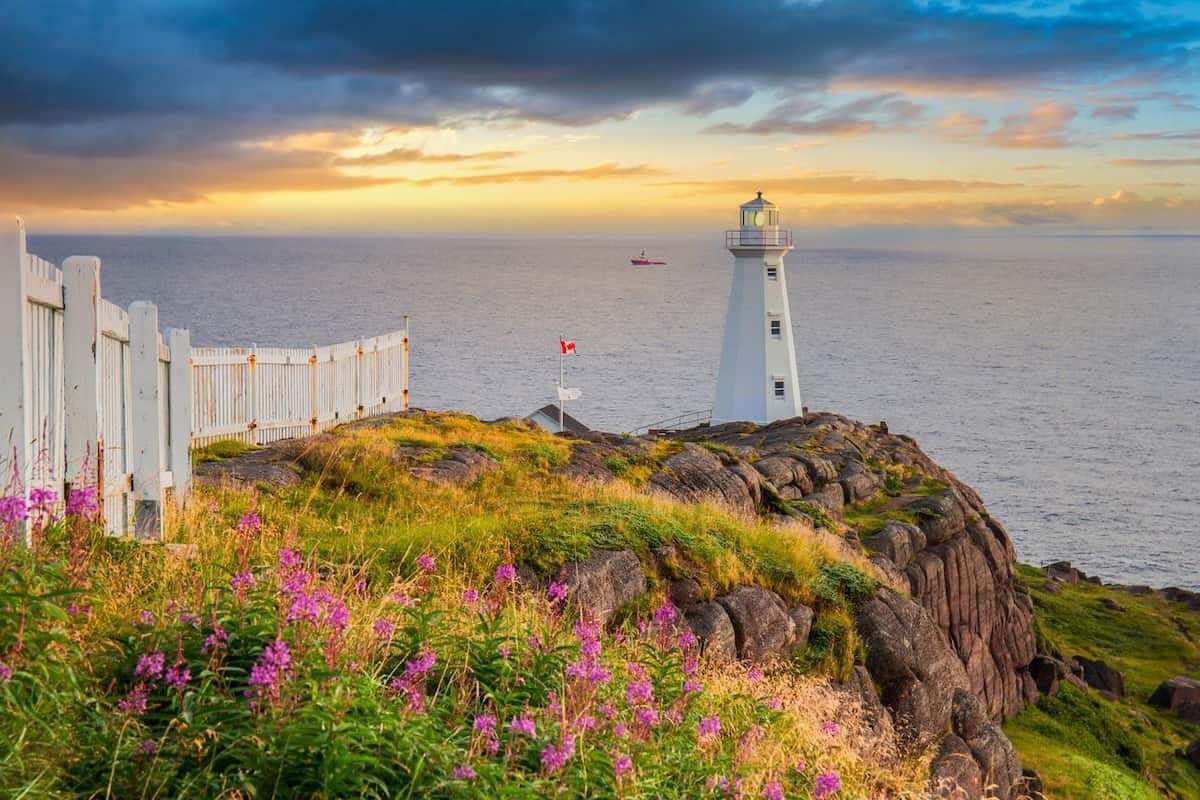 Newfoundland and Labrador invites 62 workers to pursue provincial immigration