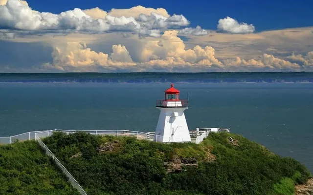 New Brunswick selects 63 AIP candidates for provincial immigration