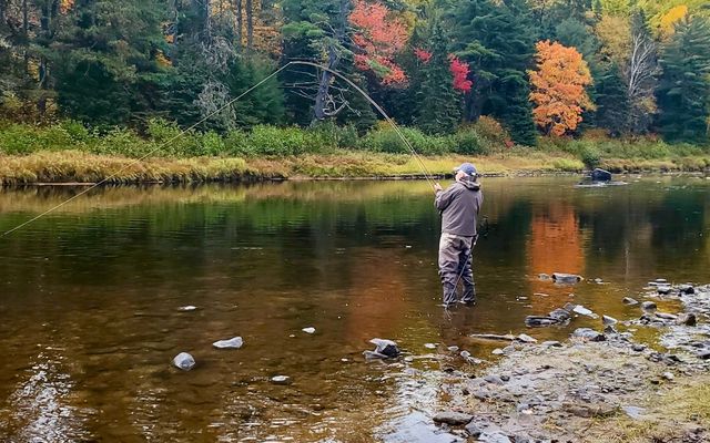 3 tips for fly-fishing success in autumn, including timing, flies and tactics
