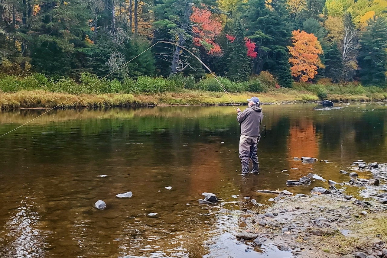 3 tips for fly-fishing success in autumn, including timing, flies and tactics