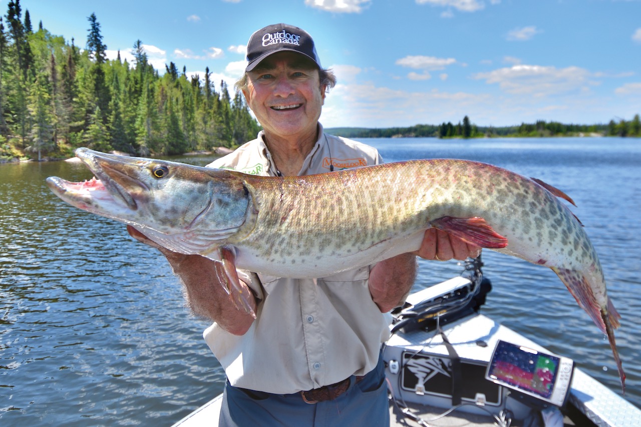 Outdoor Canada’s 50 best tips, secrets and tactics for catching monster muskies