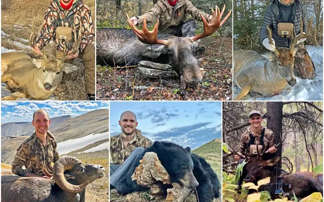 6 expert hunting tips from a Canadian who filled 6 tags in one season—all in Alberta