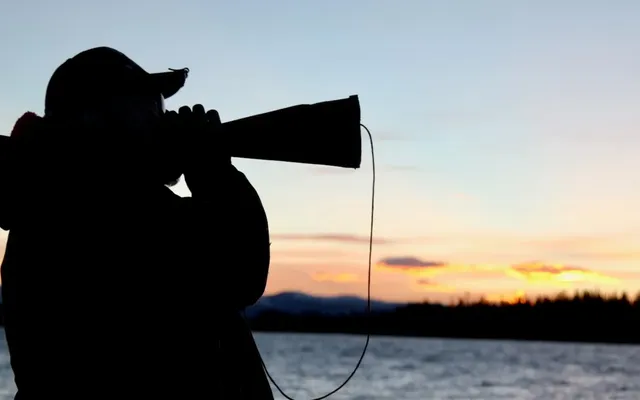 7 essential things bowhunters should know about moose, from arrow choice to calling to recovery