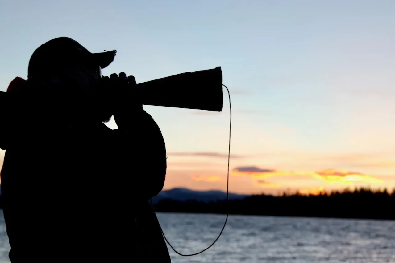 7 essential things bowhunters should know about moose, from arrow choice to calling to recovery