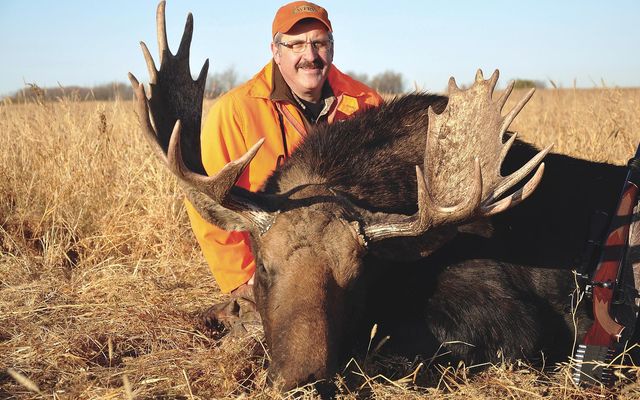 Farmland moose: How to hunt big bulls in wide-open agricultural land