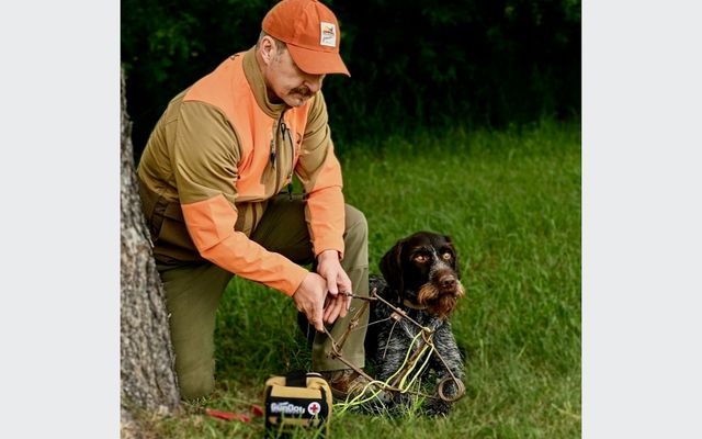 How to save your hunting dog if it gets caught in a trap or snare