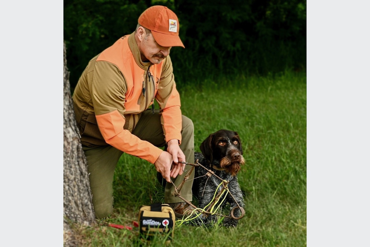 How to save your hunting dog if it gets caught in a trap or snare