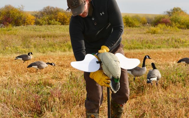 Add motion to your spread: A quick guide for decoying ducks and geese