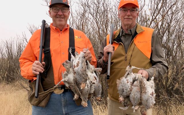 How to hunt for Hungarian partridge all season long