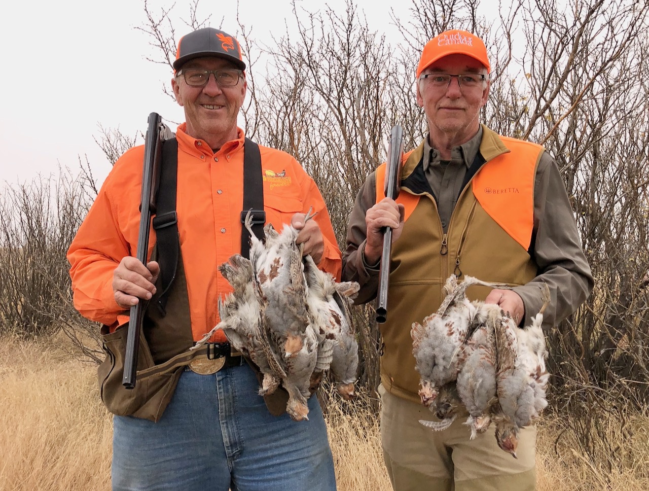 How to hunt for Hungarian partridge all season long