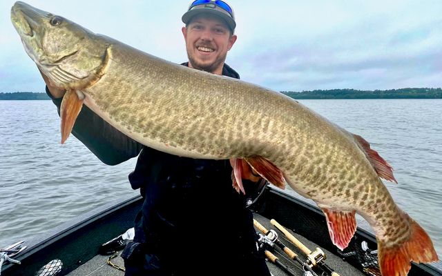 Big pike and muskies prefer long, thin baits. Here’s the skinny on why and how you should fish them
