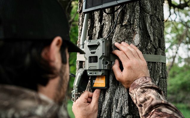 Solar-powered trail cameras offer fewer trips into the woods and more scouting