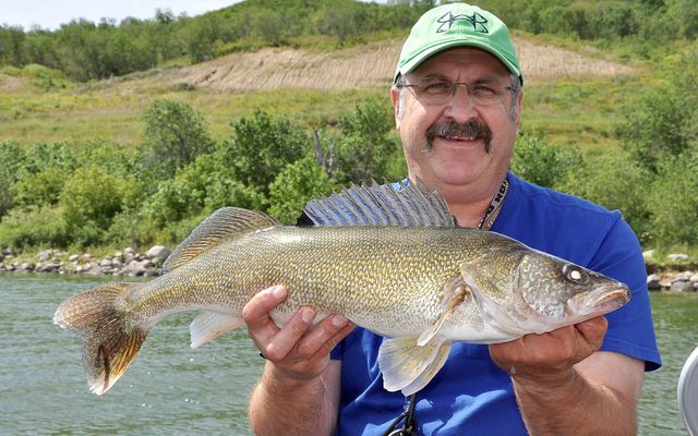 Think you can’t catch prairie walleye in summer? Think again!