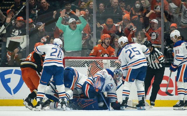 NHL goal-line technology challenging to implement, Bill Daly says
